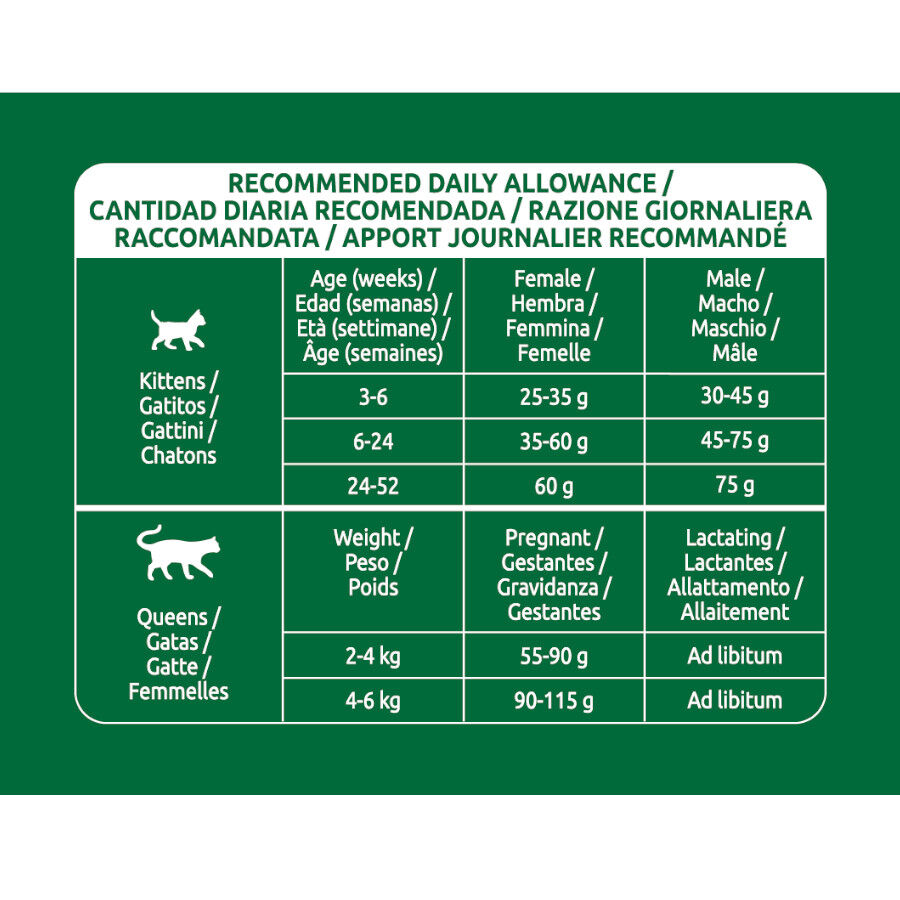 Libra Kitten Pollo pienso para gatos thumbnail