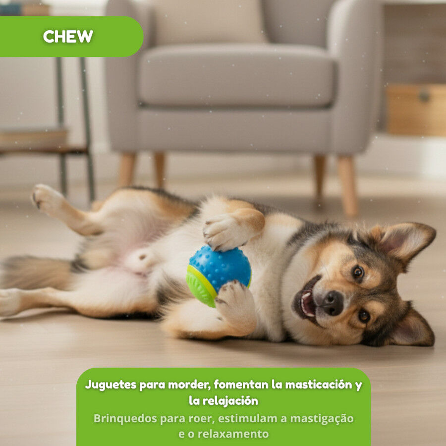 Tootoy! Pelota de Goma con Texturas para perros, , large Imagen numero 7