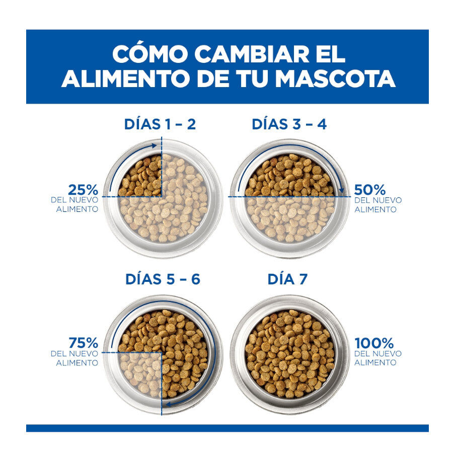 85 g Hill's Science Plan Adult Pollo sobre para gatos, , large Imagen numero 7
