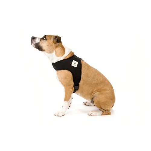 Arnés ergónomico Jostedal para perros Gobak transpirable Negro thumbnail