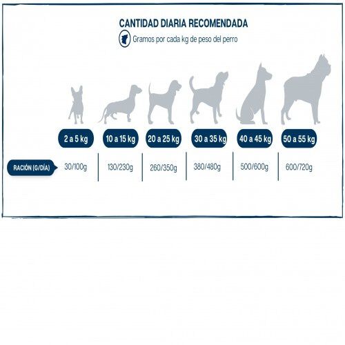 Lobo azul pienso super premium natural para perros, , large Imagen numero 2