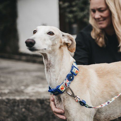 Collar Frutas para perros color Azul, , large Imagen numero 2