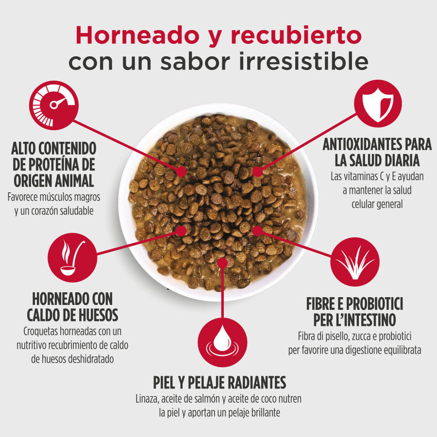 10 kg Nulo Baked Coated Cordero con Cerdo y Ternera Pienso para perros, , large Imagen numero 3