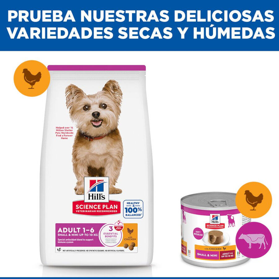 10 kg Hill's Science Plan Adult Small y Mini Pollo pienso para perros, , large Imagen numero 8