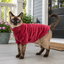 Gotoo Jersey Polar Rojo para gatos, , large indicador imagen numero 1
