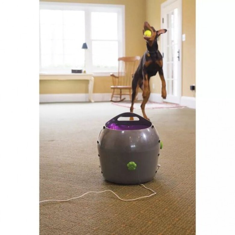 Lanzador de pelotas automático para perros color Gris, , large image number null