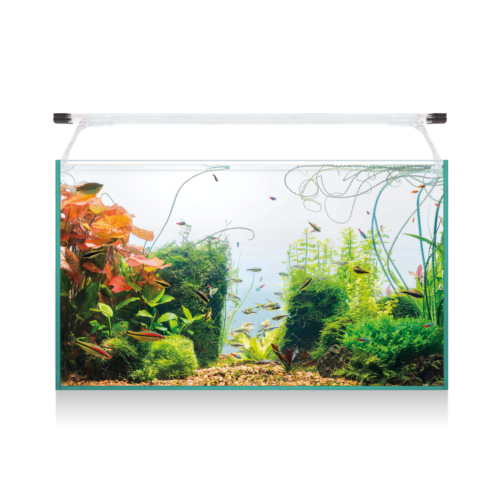 Kit AQUA LIGHT Glass 60 (52 l), , large Imagen numero 1