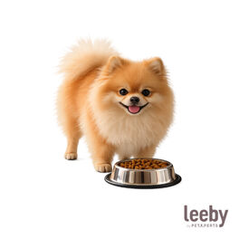 Leeby Comedero de Metal con Aro de Silicona para perros