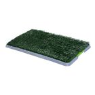 Inodoro de Bandeja PawHut Homcom color Verde y Gris, , large image number null
