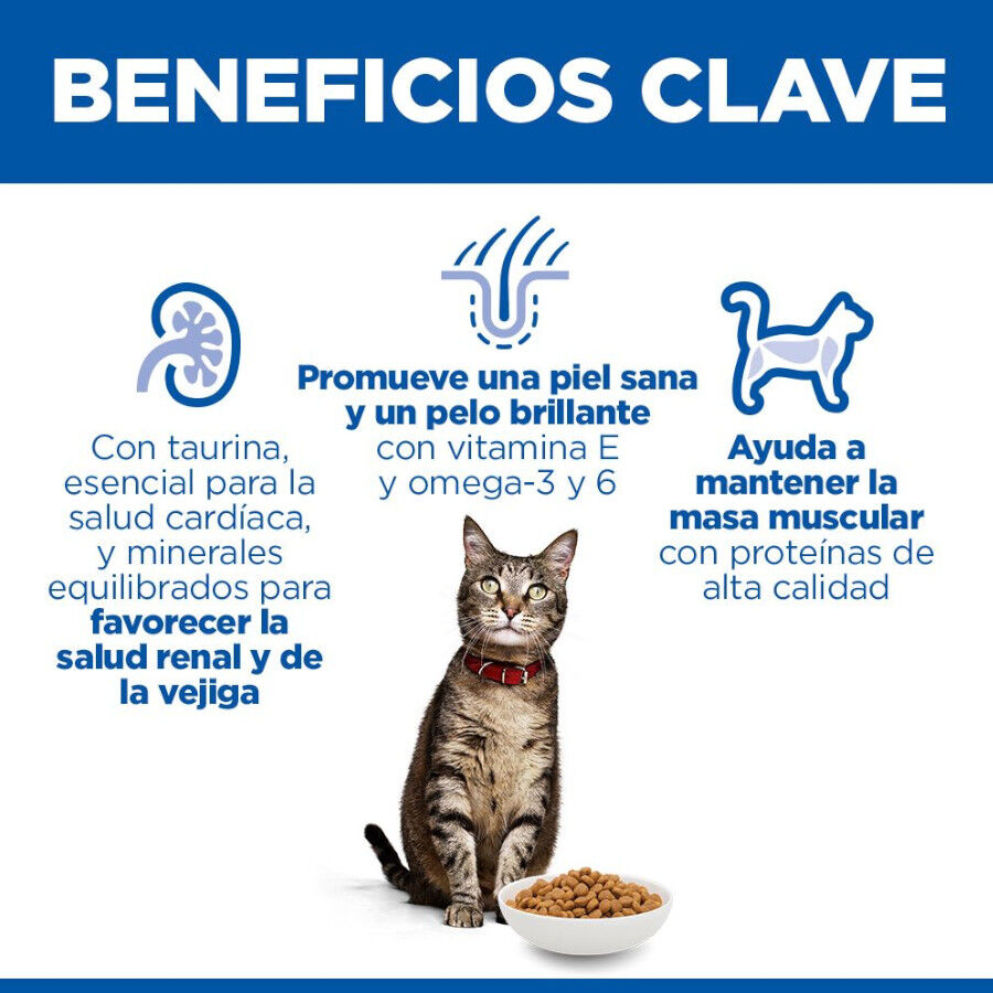 Hill&#039;s Science Plan Adult Pollo pienso para gatos thumbnail