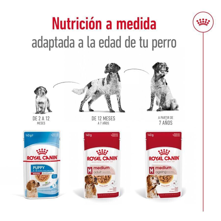 Royal Canin Medium Ageing sobre en salsa para perros thumbnail