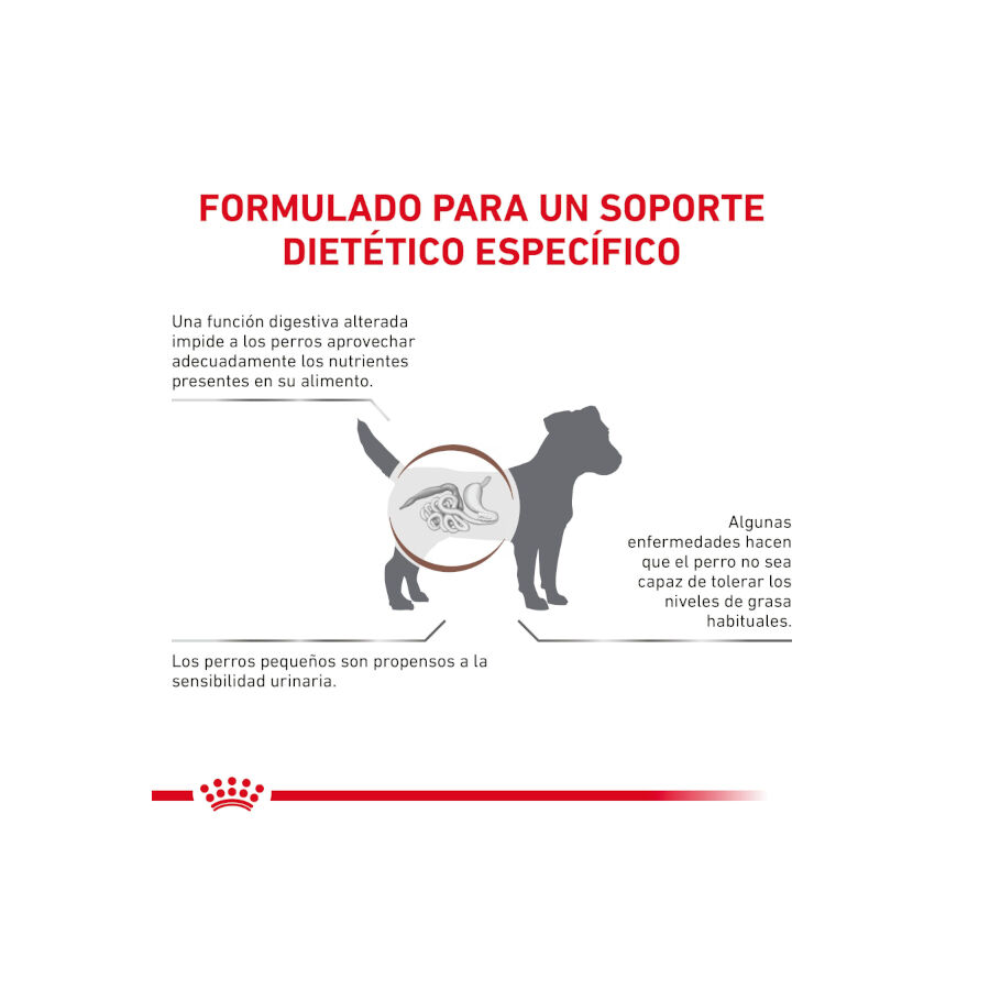 Royal Canin GastroIntestinal Low Fat pienso para perros pequeños thumbnail