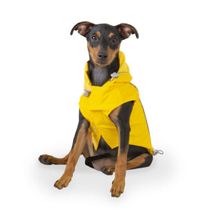 Outech Fisher Impermeable amarillo para perros