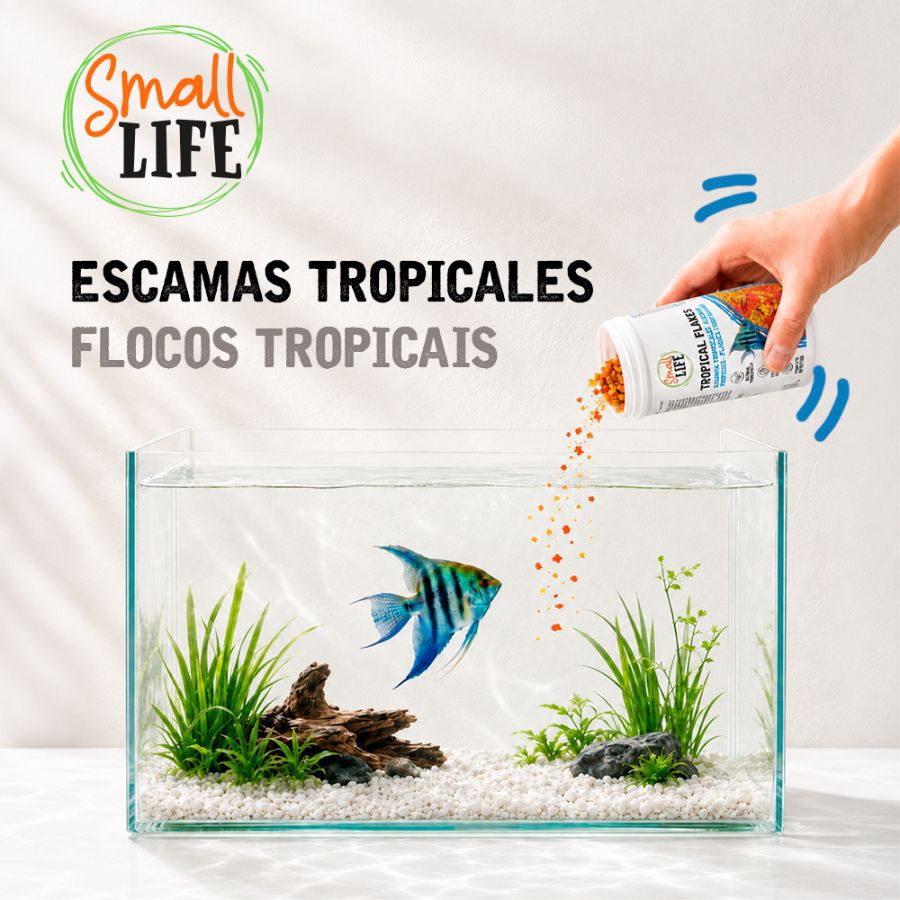 100 ml Small Life Escama Tropical Alimento para peces, , large Imagen numero 3