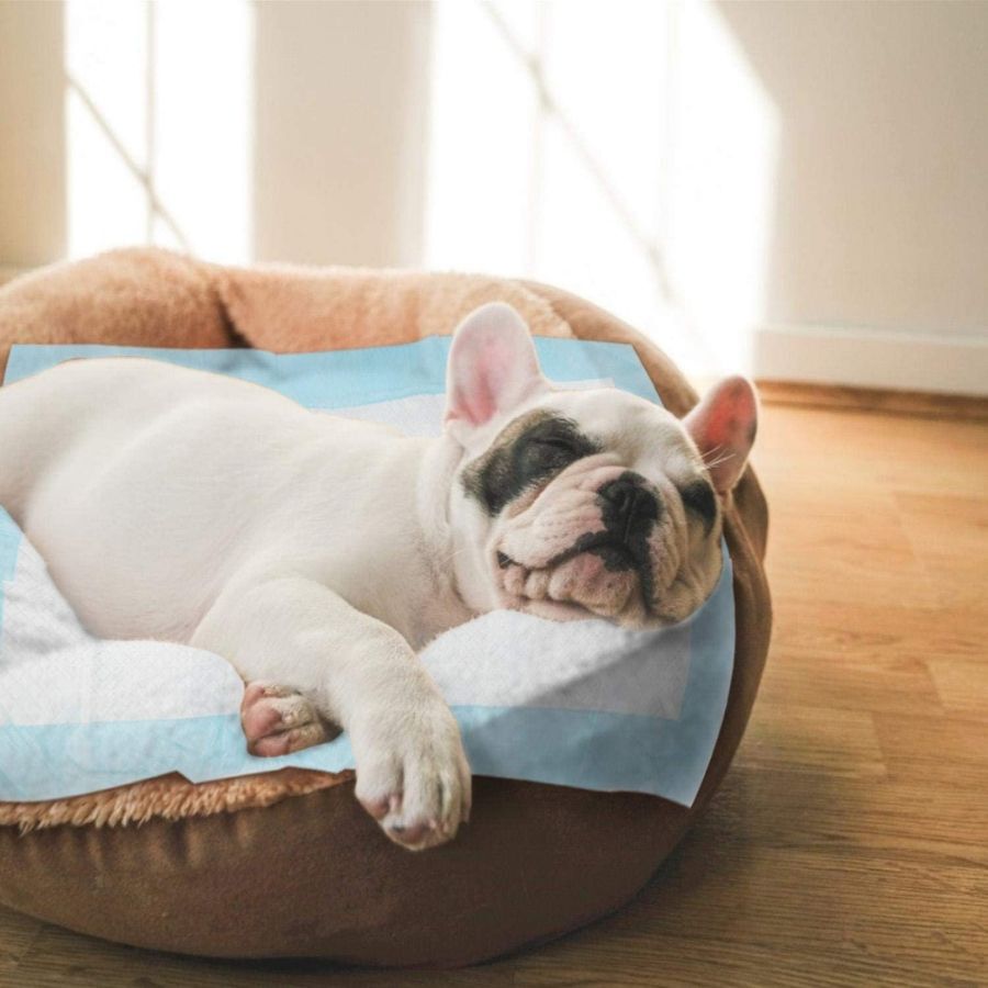 Nobleza Empapadores para perros, , large Imagen numero 5