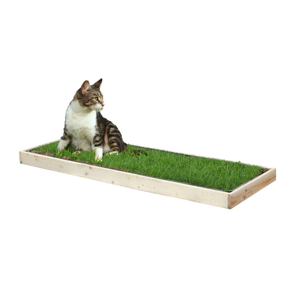 Petground, Cama para gatos, Caja de Madera, Accesorio, Mueble, XL, , large Imagen numero 1