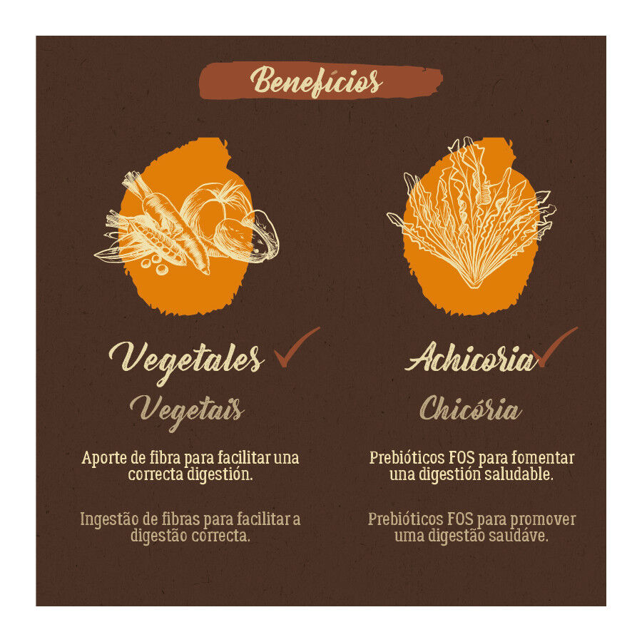 True Origins Pure Grain Free Senior Pollo pienso para perros thumbnail