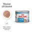 195 g Royal Canin Starter Mommy & Baby mousse latas para perros, , large indicador imagen numero 1