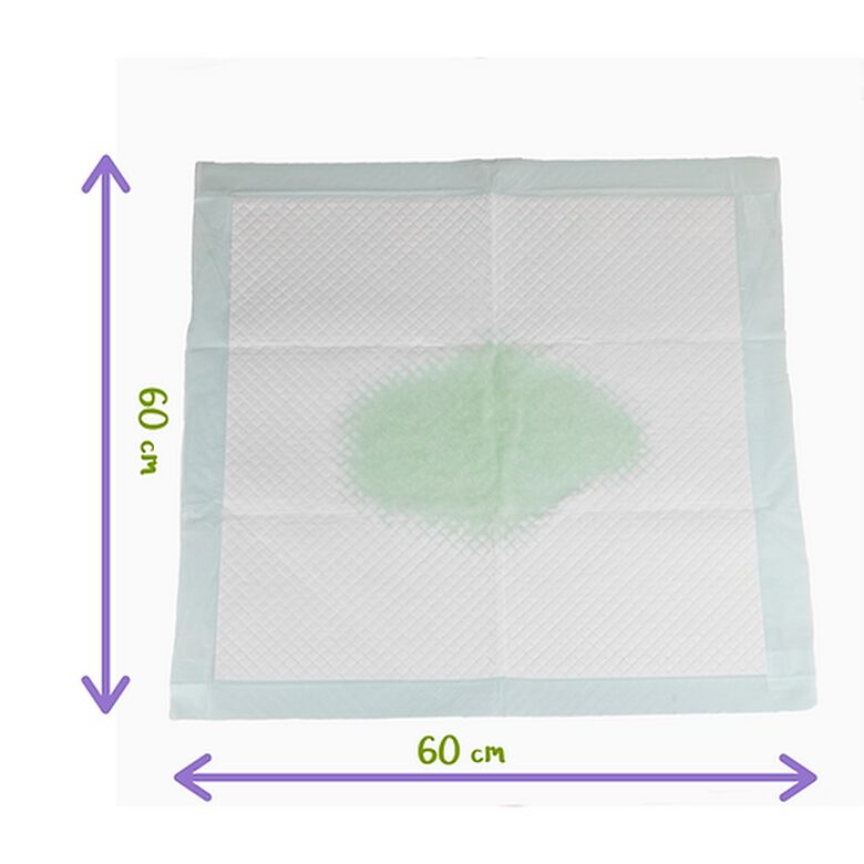 Peppo And Pets Empapadores Para Perros thumbnail