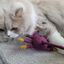 Peluche cangrejo juguete para gato de fieltro de lana artesanal Griffe, , large indicador imagen numero 4