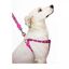 Zooz arn&eacute;s snoopy rosa para perros, , large indicador imagen numero 2