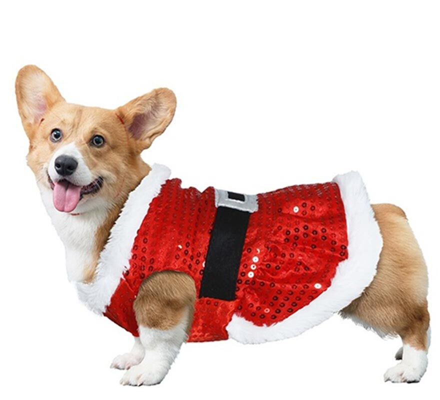 Disfraz de Pap&aacute; Noel con lentejuelas para perro, , large Imagen numero 3
