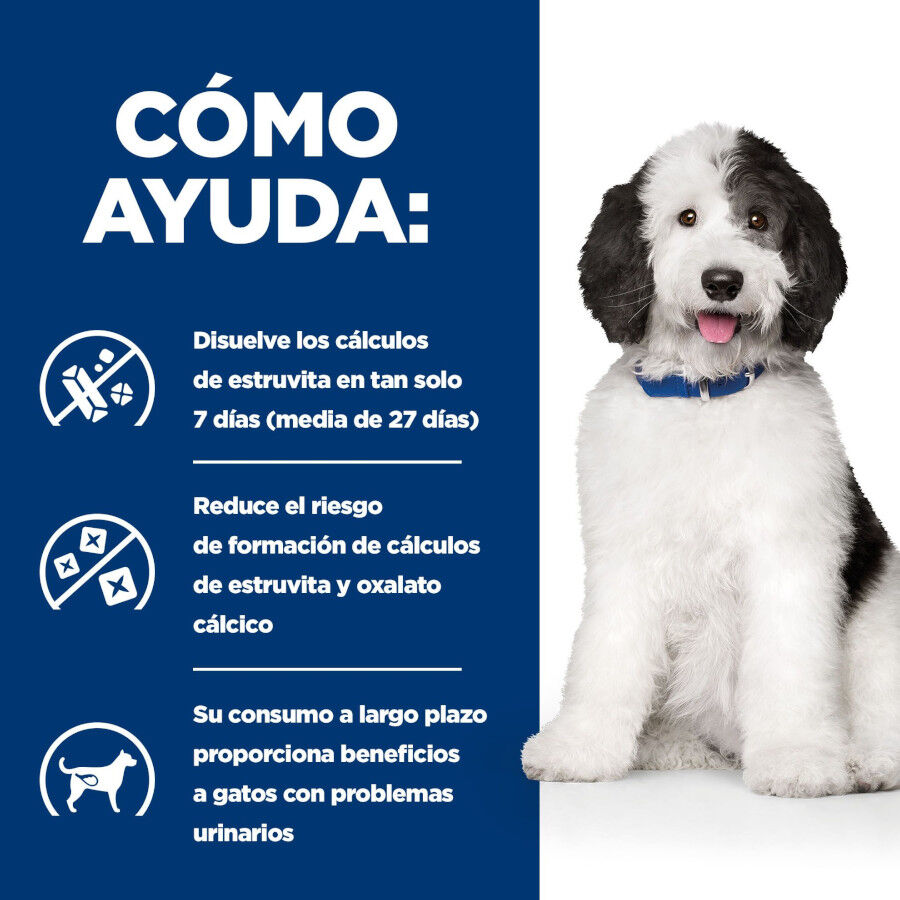 12 kg Hill's Prescription Diet Urinary Care c/d Pollo pienso para perros, , large Imagen numero 4
