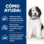 12 kg Hill's Prescription Diet Urinary Care c/d Pollo pienso para perros, , large indicador imagen numero 4