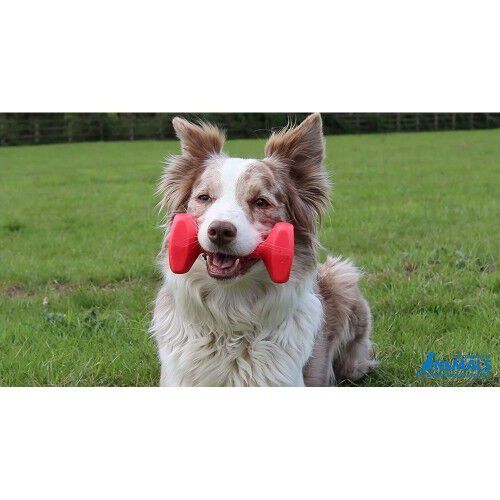 Mancuerna flotante para entrenamiento para perros, , large Imagen numero 3