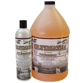 Ibañez Doble K UltimateChampú Concentrado para perros