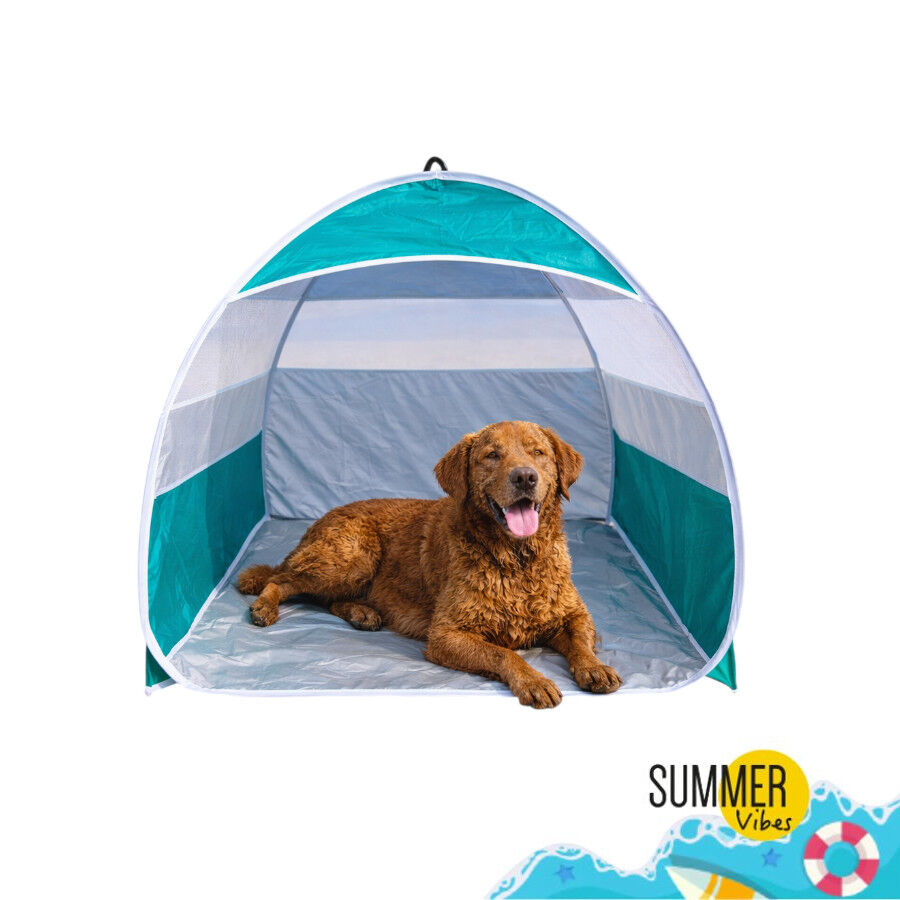 Tienda De Playa Emergente VidaXL – Impermeable, De Poliéster 190T, 190x80x60 Cm, Ligera Y Portátil Con Bolsa De Transporte