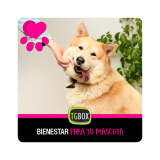 Tgbox Bienestar Para Tu Mascota para perros