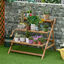 Outsunny Estantería para Plantas de Madera Soporte de Macetas con 3 Estantes Plegables en Forma Escalera para Decoración Interiores y Exteriores 101x83x88 cm Marrón, , large indicador imagen numero 2