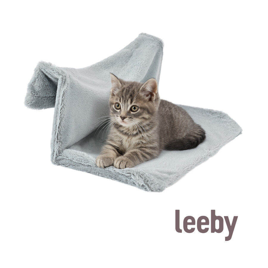 Leeby Hamaca Radiador Gris para gatos, , large Imagen numero 2