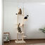 PawHut Árbol para Gatos de Suelo a Techo 225-255 cm Árbol Rascador para Gatos de 7 Niveles Torre para Gatos con Hamacas Plataformas Juguete de Cuerda Bola de Juguete Beige y Gris, , large indicador imagen numero 2