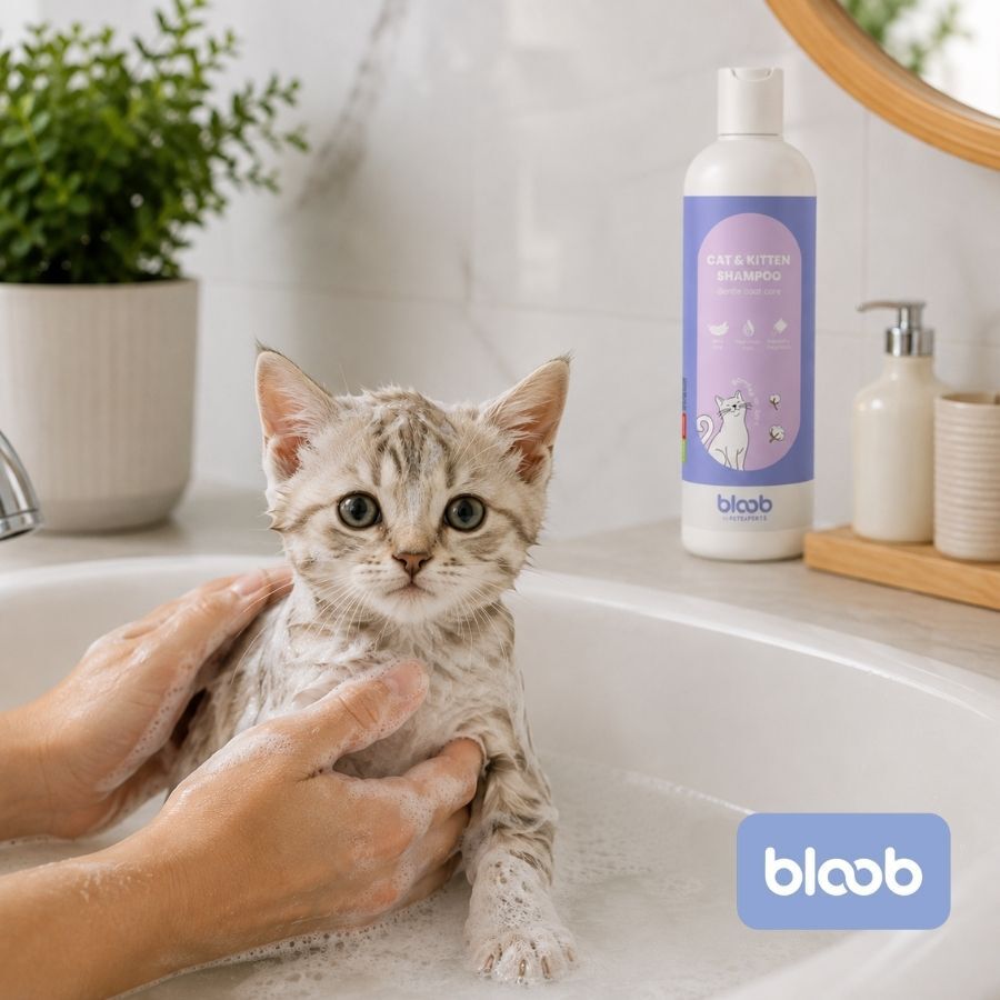 Bloob Champ&uacute; Fragancia Empolvada para gatos, , large Imagen numero 2