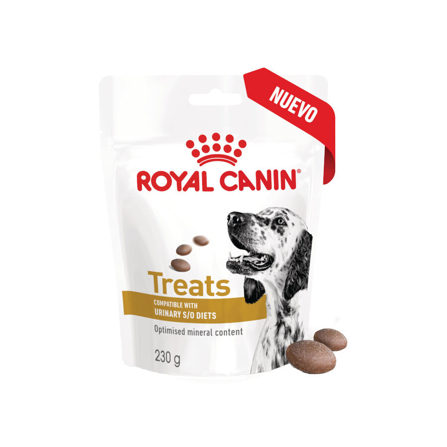 Royal Canin Treats Urinary Snacks para perros thumbnail