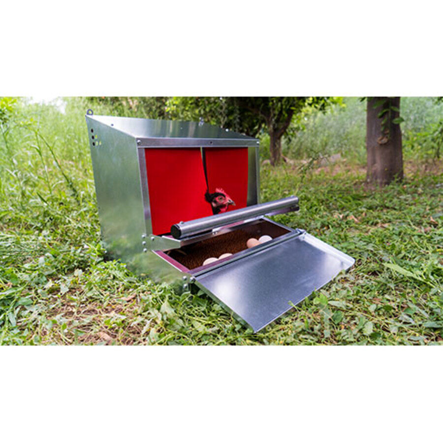 Ormital Ponedero Bennu para aves thumbnail