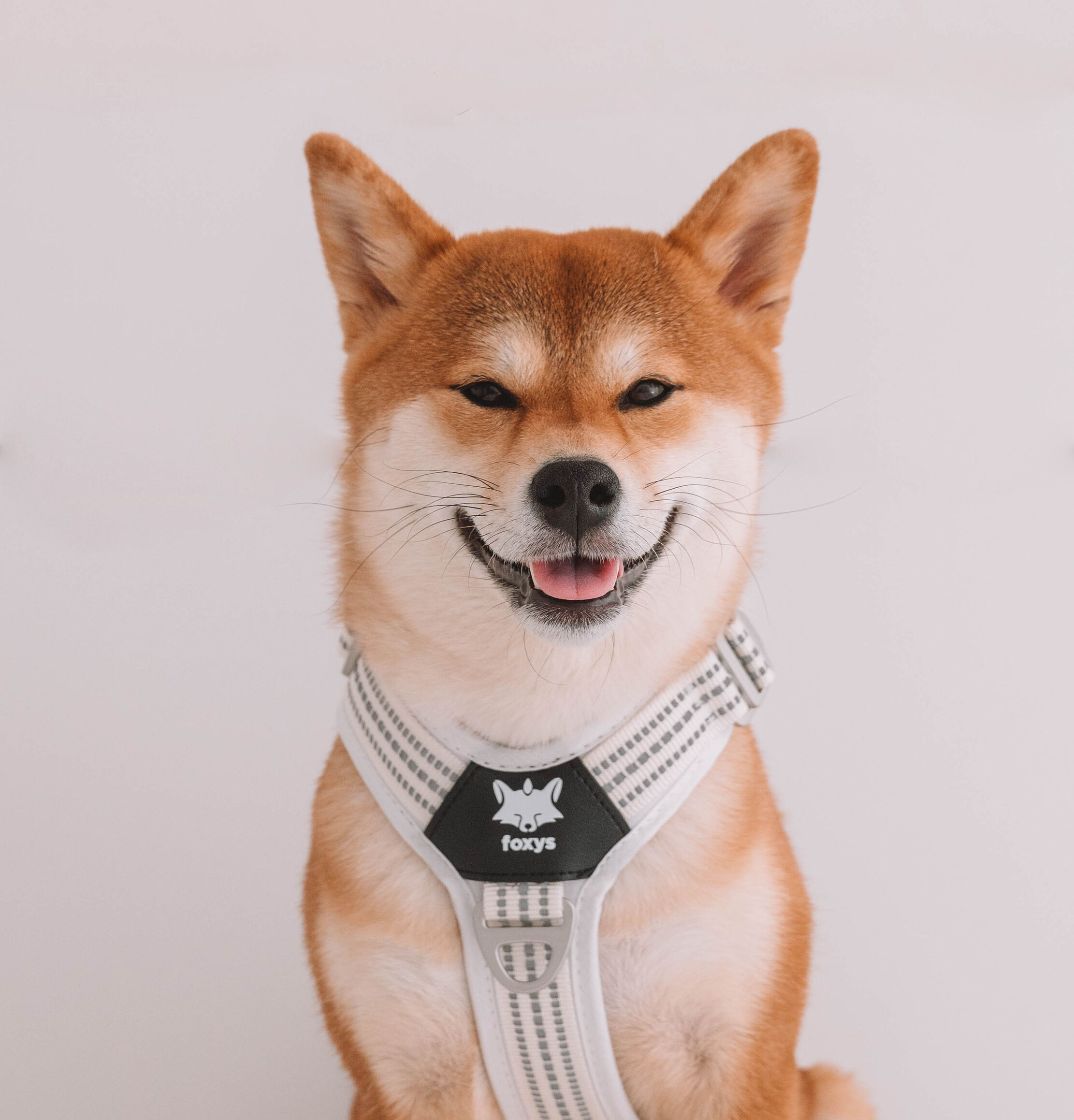 Arn&eacute;s Foxys Antitirones con hebillas aluminio reforzadas color Blanco, , large Imagen numero 1