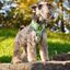 Dashi neo mesh avocado arnés verde para perros grandes, , large indicador imagen numero 5