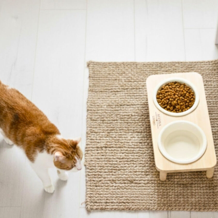 Althea Living - Bebedero/comedero de bamb&uacute; y cer&aacute;mica para gatos Cala Blanca, , large Imagen numero 4