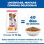 14 kg Hill's Science Plan Adult Light Medium Pollo pienso para perros, , large indicador imagen numero 5