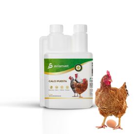 Avianvet Calcio Gallinas 500 ml