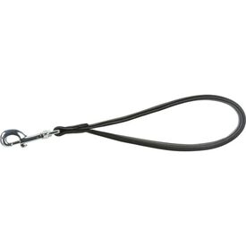 Trixie Active Correa de Piel para perros