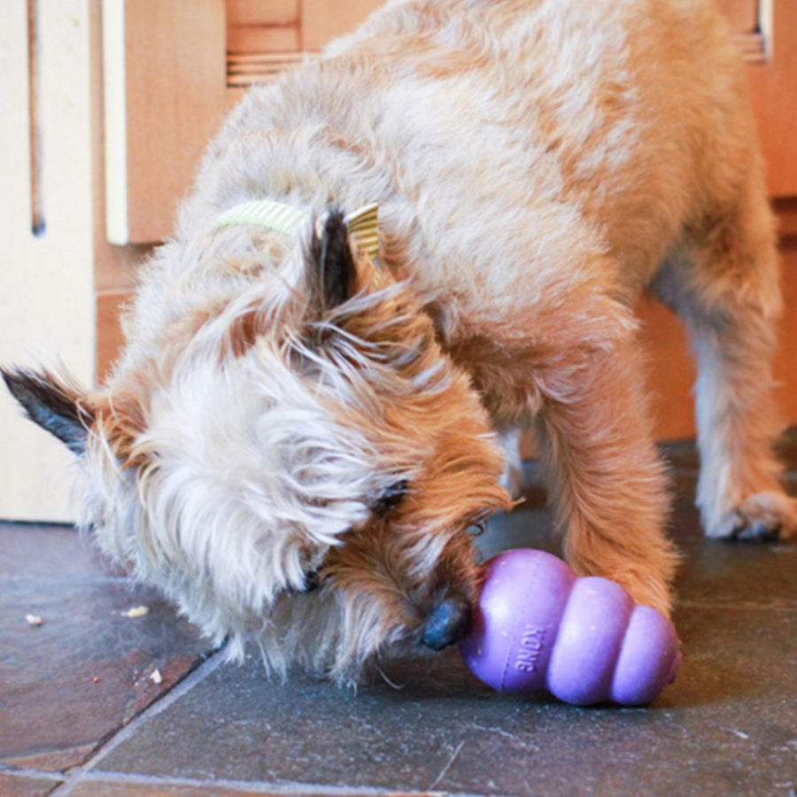 Kong S&eacute;nior mordedor para perros, , large Imagen numero 2