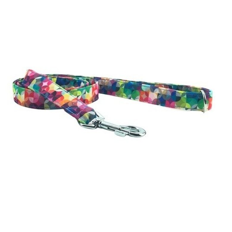 Galguita amelie nickcolors correa multicolor para perros, , large image number null