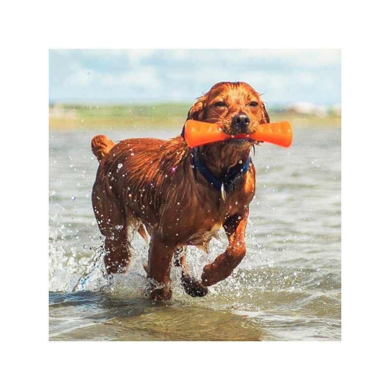 BIONIC juguete interactivo para perros thumbnail