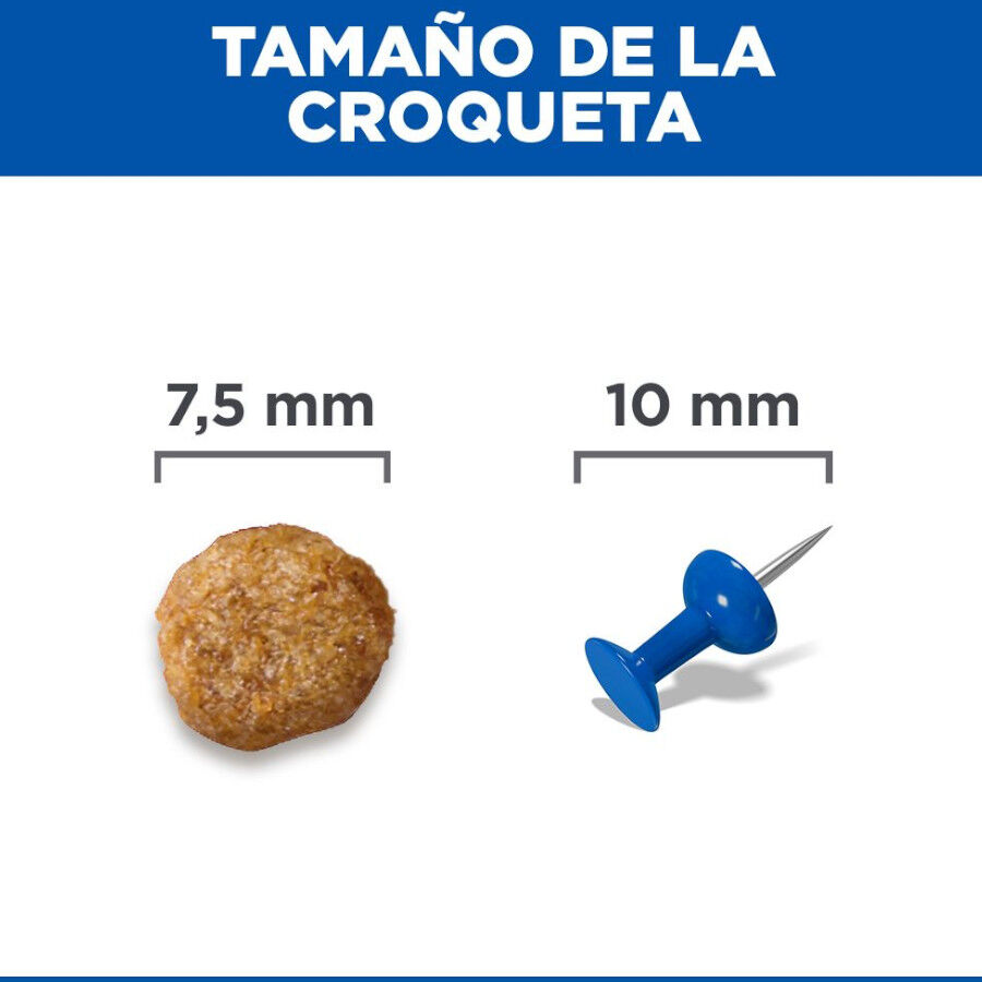 1.5 kg Hill's Science Plan Senior 11+ Small y Mini pollo pienso para perros, , large Imagen numero 8