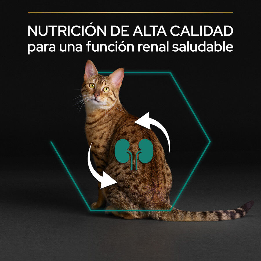 Pro Plan Adult Renal Plus Pollo Pienso para gatos thumbnail