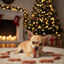80 g Wonder Christmas Salchichas de Pollo Navideñas para perros, , large indicador imagen numero 2